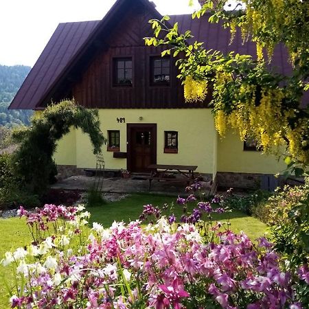 Apartments Vecernik Rokytnice Rokytnice nad Jizerou Eksteriør bilde