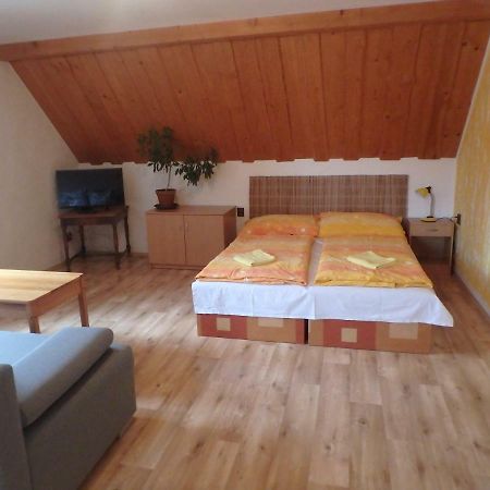 Apartments Vecernik Rokytnice Rokytnice nad Jizerou Eksteriør bilde