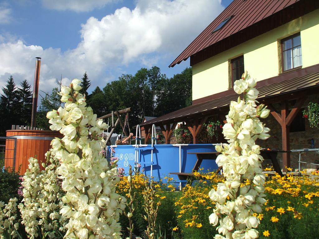 Apartments Vecernik Rokytnice Rokytnice nad Jizerou Eksteriør bilde