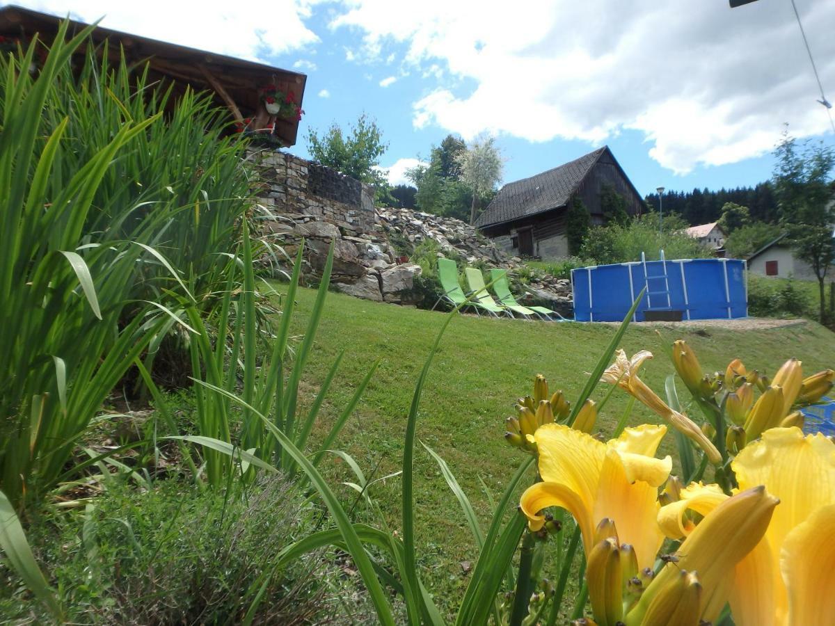 Apartments Vecernik Rokytnice Rokytnice nad Jizerou Eksteriør bilde
