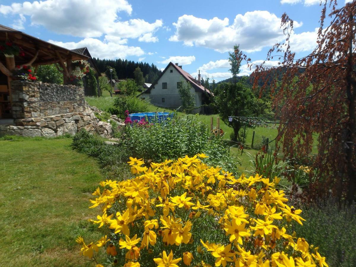 Apartments Vecernik Rokytnice Rokytnice nad Jizerou Eksteriør bilde