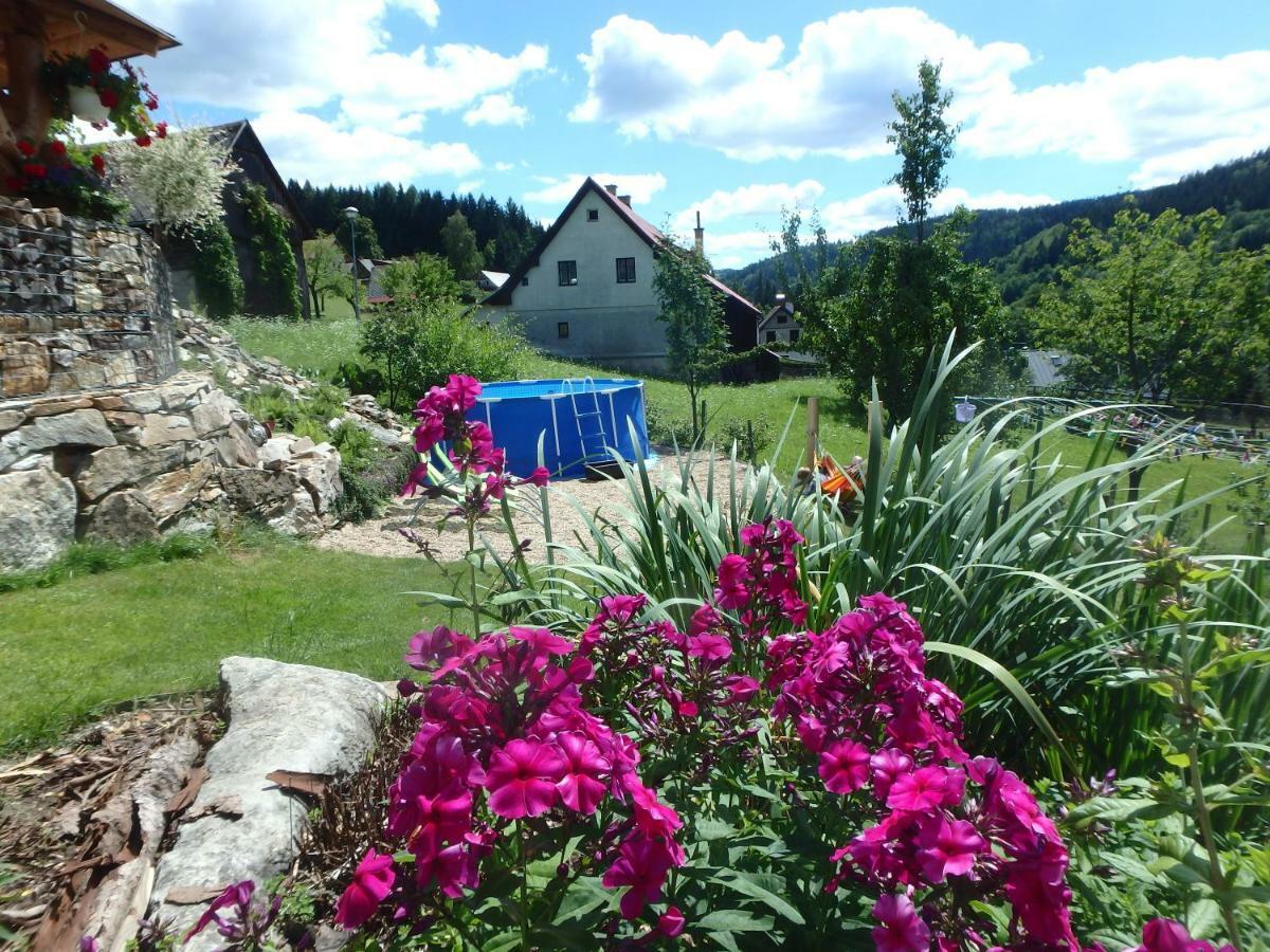 Apartments Vecernik Rokytnice Rokytnice nad Jizerou Eksteriør bilde