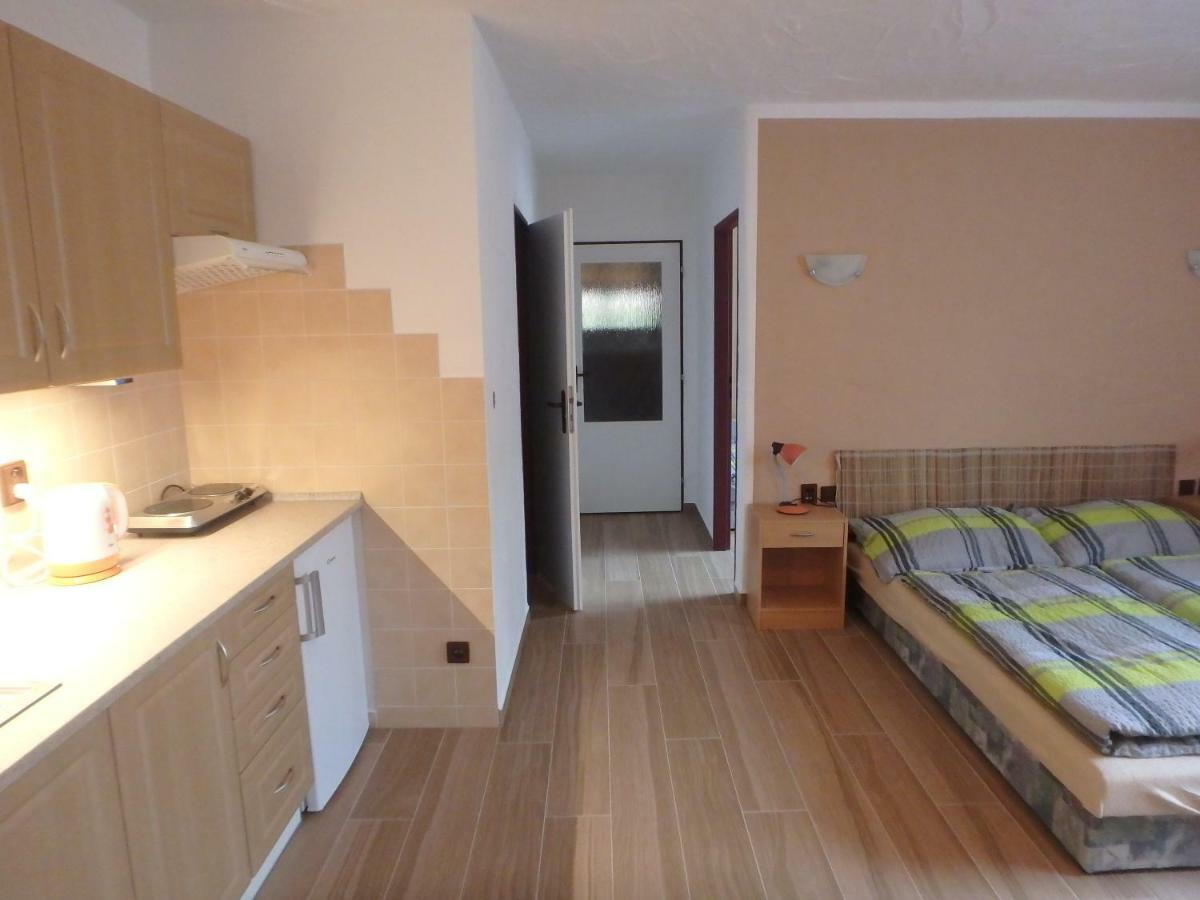 Apartments Vecernik Rokytnice Rokytnice nad Jizerou Eksteriør bilde